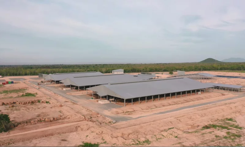 Ứng dụng nhà thép tiền chế trong xây dựng công trình nông nghiệp